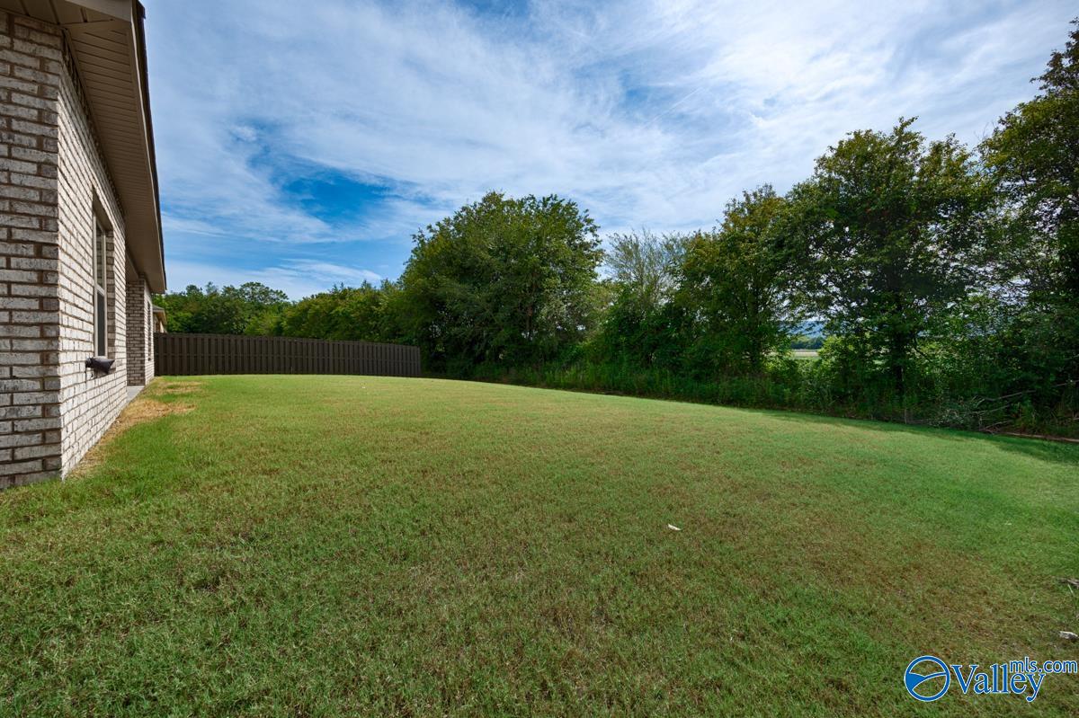 108 Cave Springs Circle, Owens Cross Roads, Alabama image 18