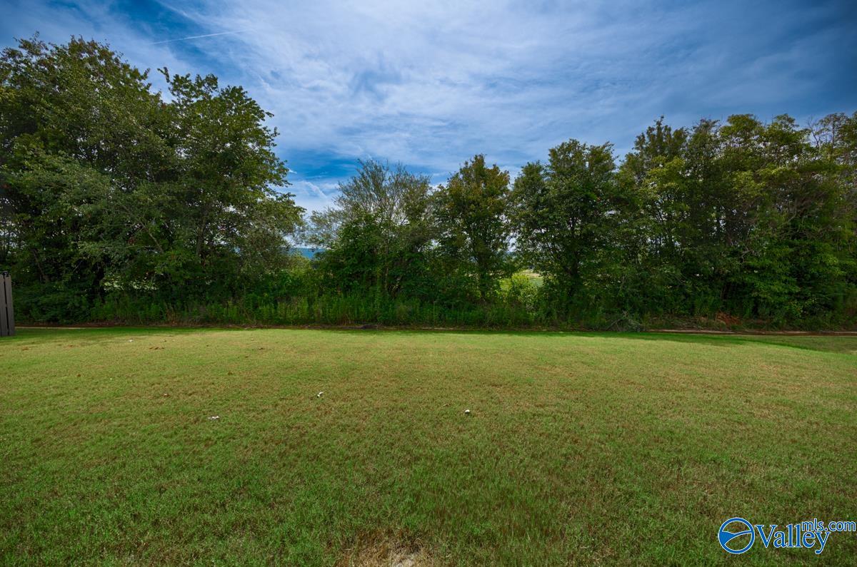 108 Cave Springs Circle, Owens Cross Roads, Alabama image 21