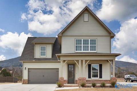 Homes For Sale - 3 Sable Creek Court<br/> Gurley, AL 35748