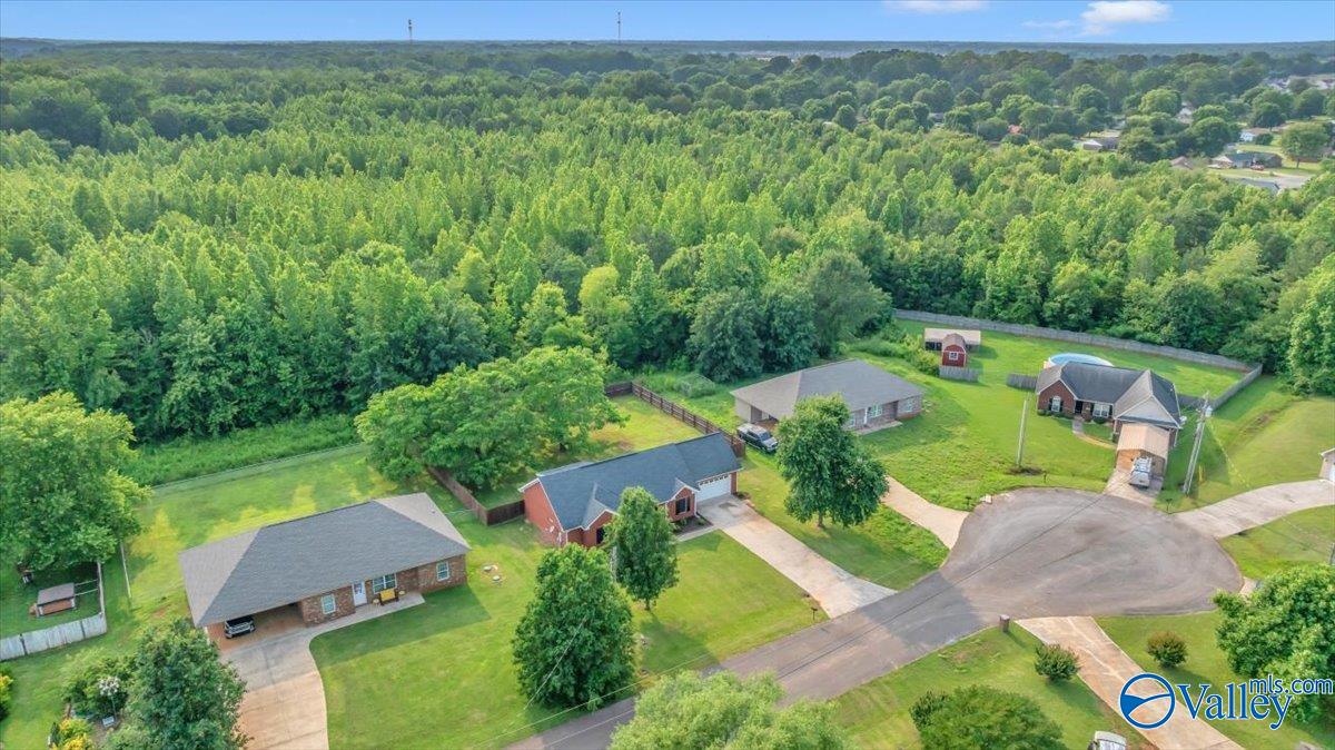 108 White Willow Court, Hazel Green, Alabama image 42