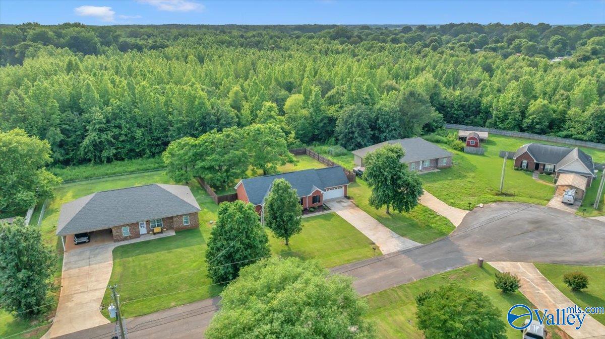 108 White Willow Court, Hazel Green, Alabama image 36