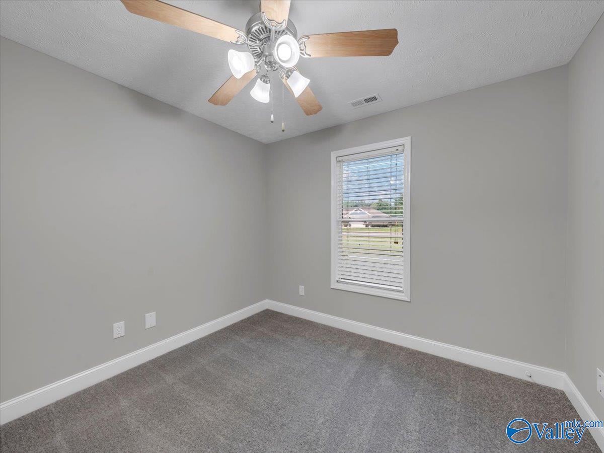 108 White Willow Court, Hazel Green, Alabama image 24
