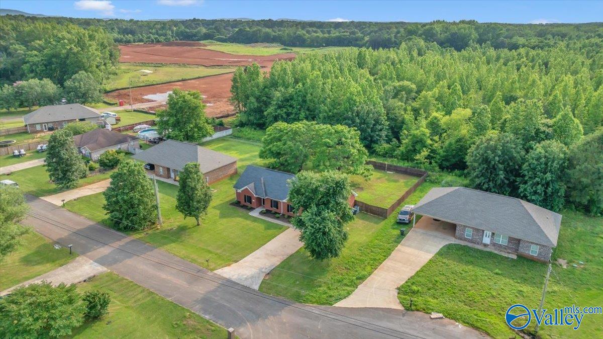 108 White Willow Court, Hazel Green, Alabama image 38