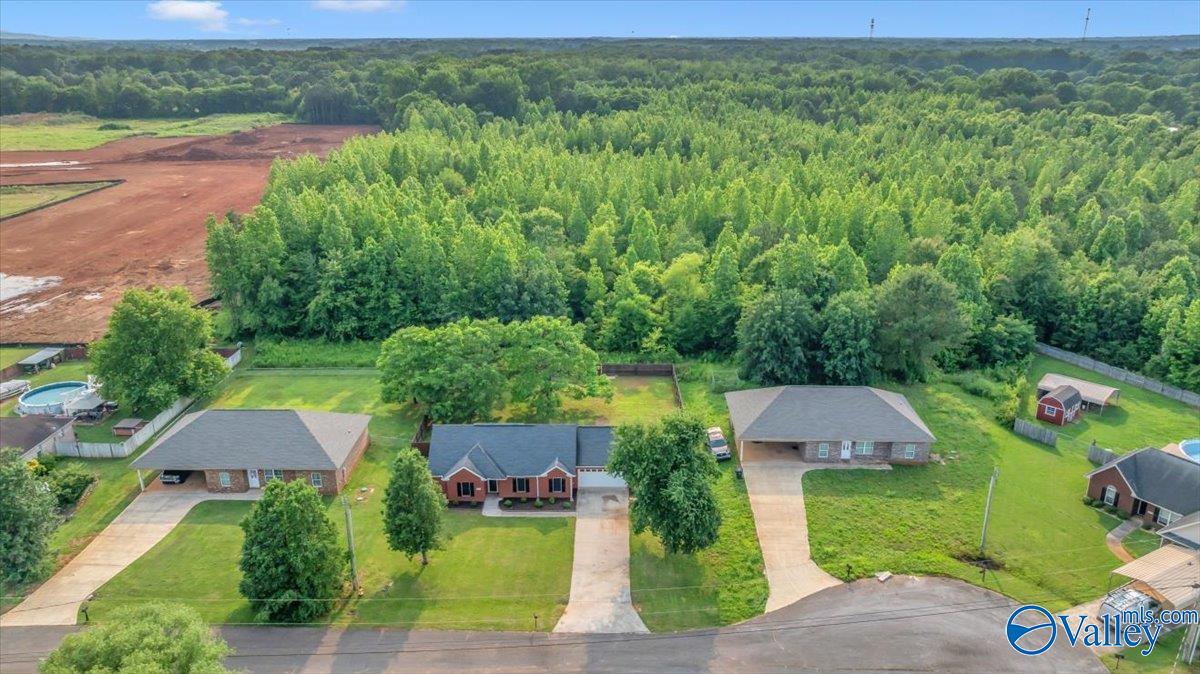 108 White Willow Court, Hazel Green, Alabama image 43