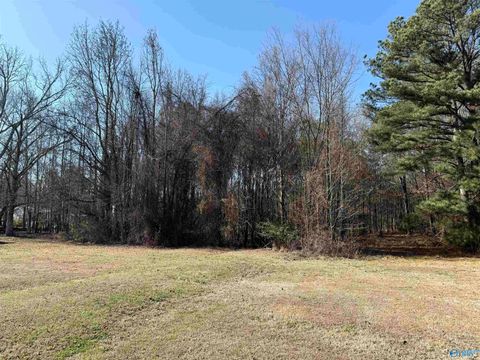 Vacant Land For Sale - 2.5 Mose Chapel Road<br/> Madison, AL 35758