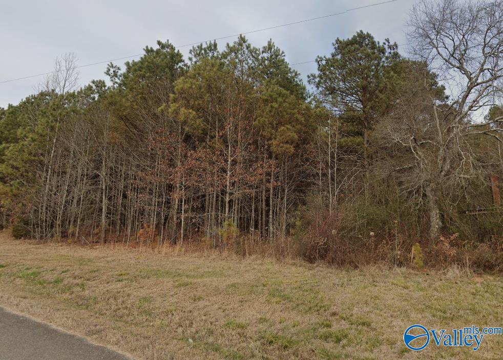 433 Berkley Road, Gurley, Alabama image 8