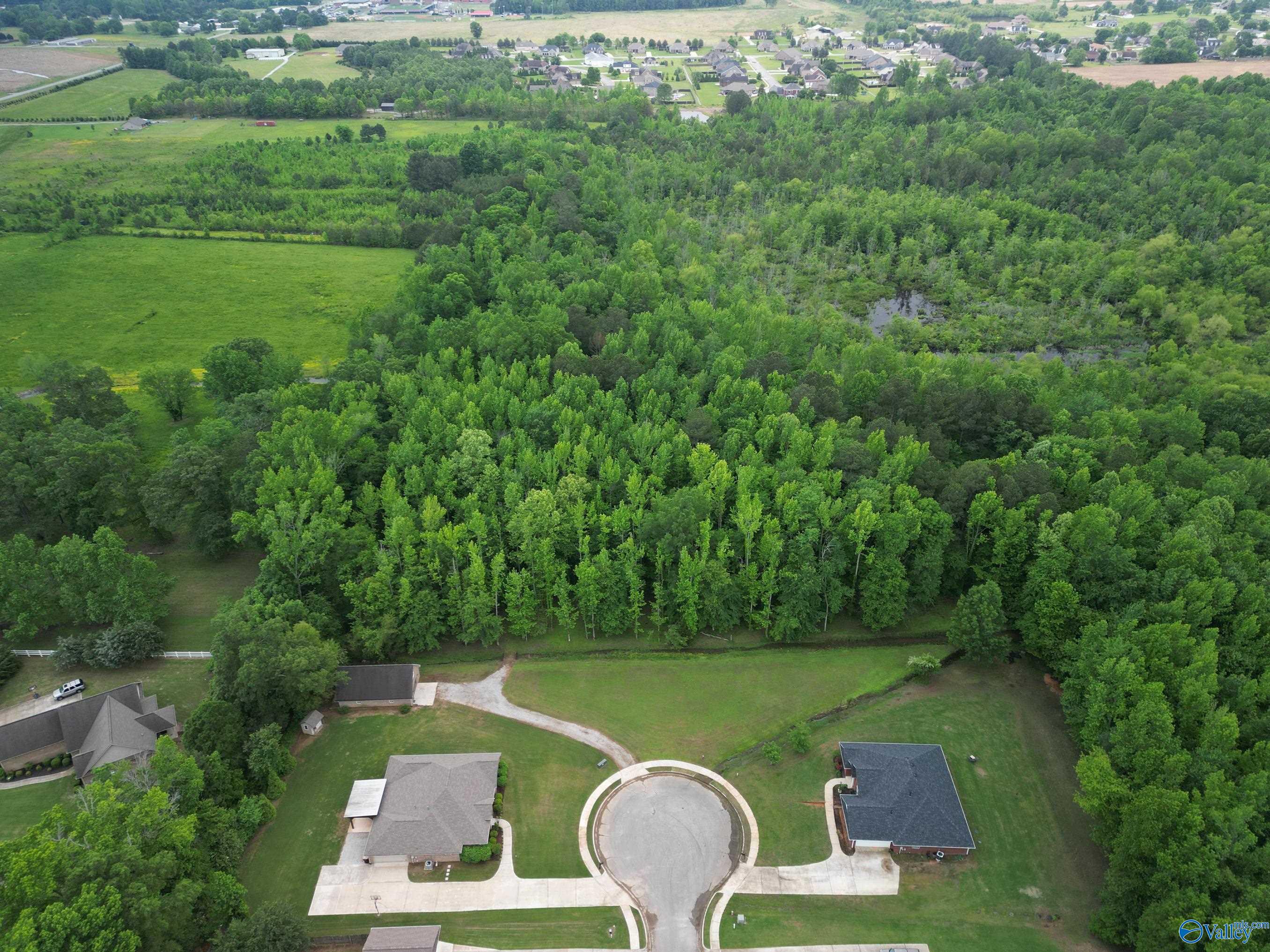 16562 Mulberry Lane, Athens, Alabama image 45