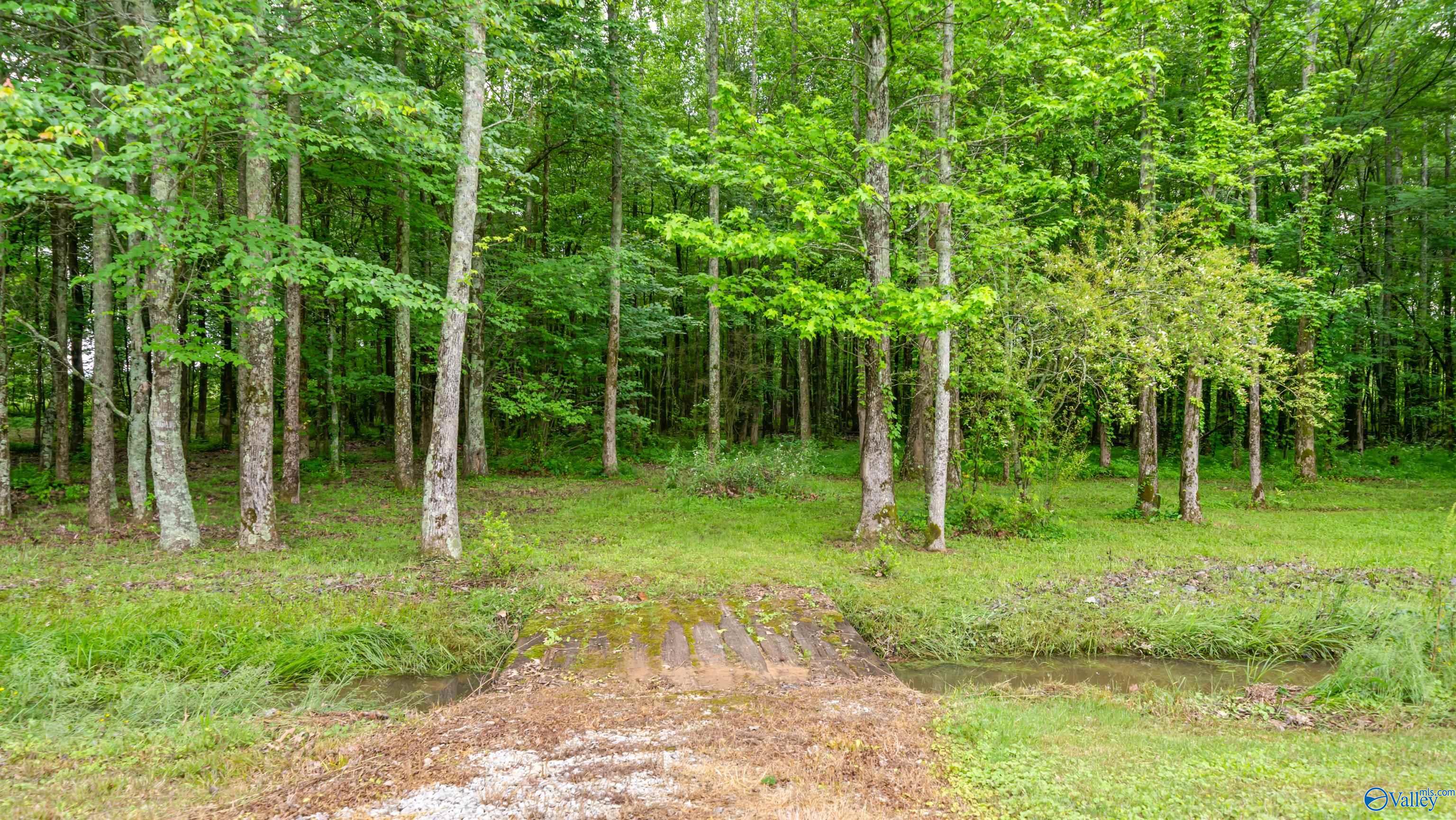 16562 Mulberry Lane, Athens, Alabama image 42