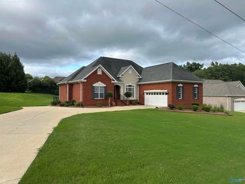 Homes For Sale - 1290 River Run Road<br/> Southside, AL 35907