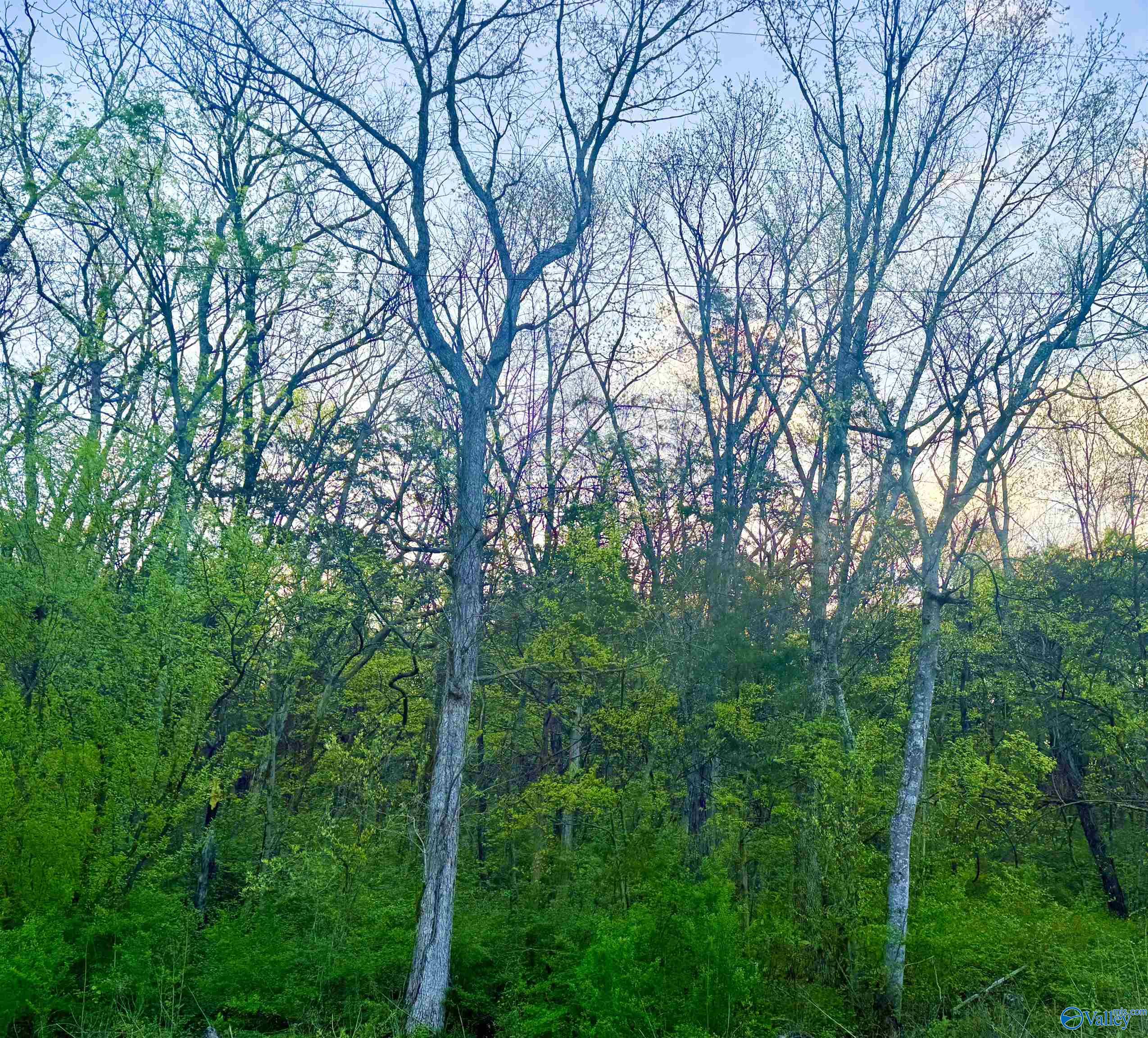 4.94 Acres Lyons Road, Decatur, Alabama image 3
