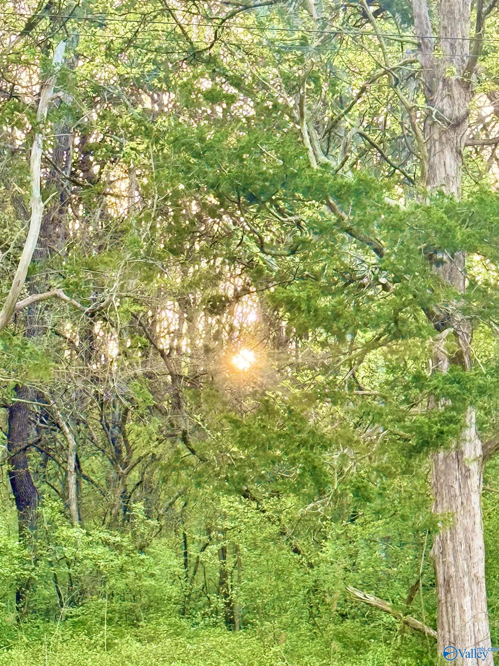4.94 Acres Lyons Road, Decatur, Alabama image 1