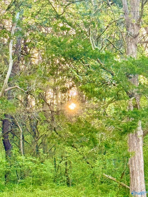 Vacant Land For Sale - 4.94 ACRES Lyons Road<br/> Decatur, AL 35603