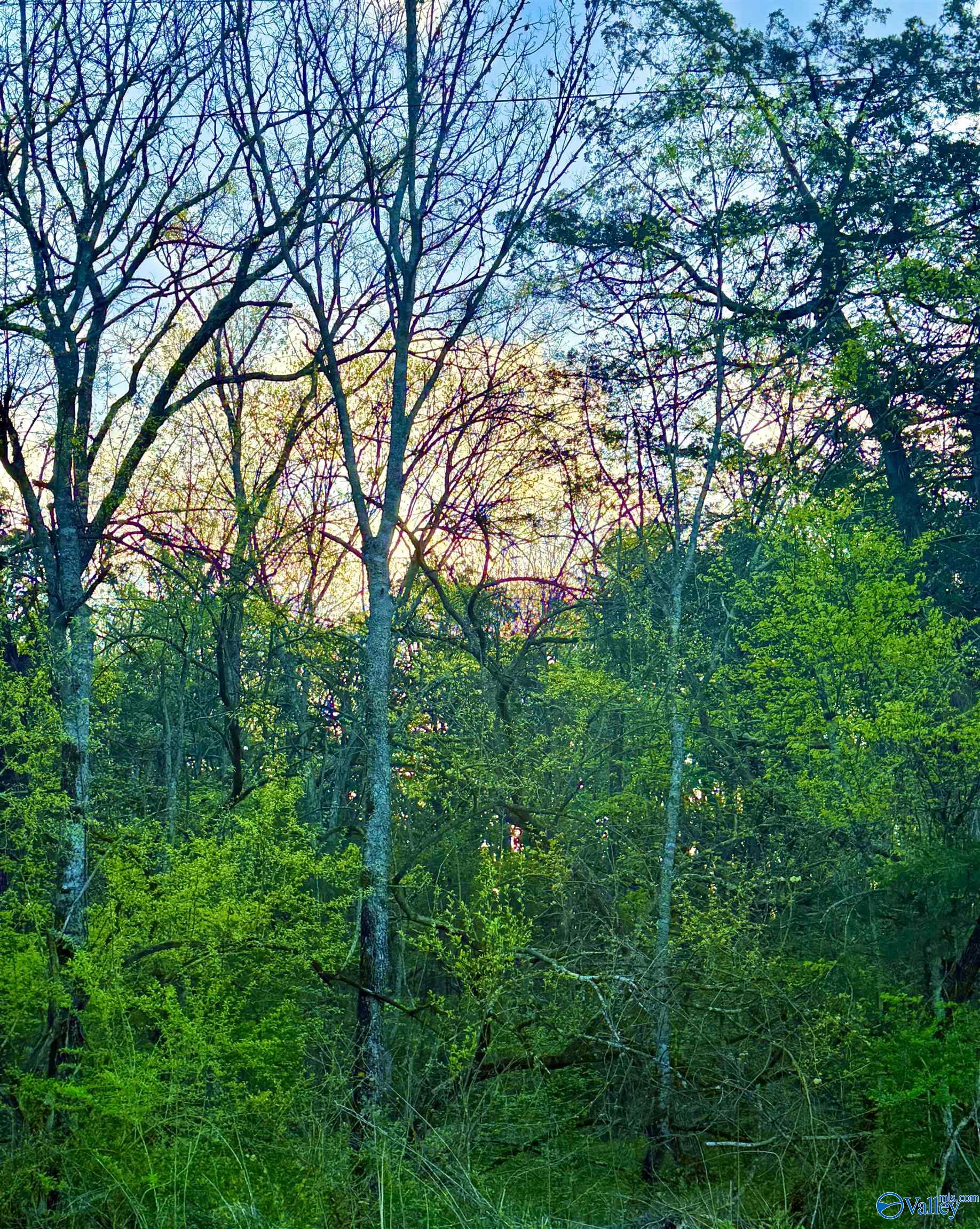 4.94 Acres Lyons Road, Decatur, Alabama image 5