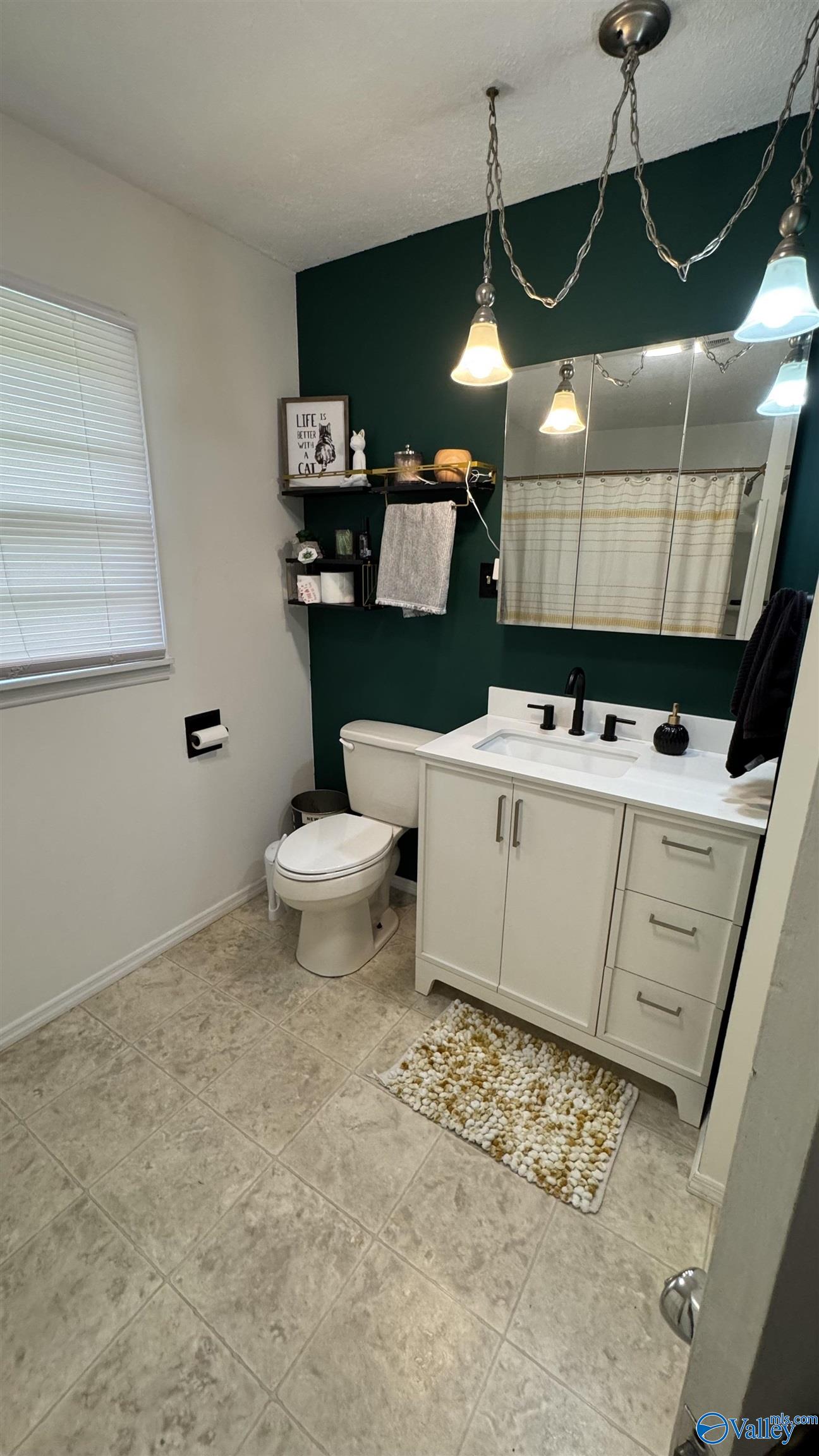 206 Mitchell Blvd, Gadsden, Alabama image 19