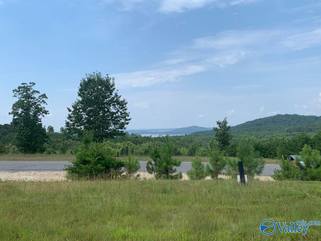 Lot 233 County Road 767 #233, Cedar Bluff, Alabama image 4