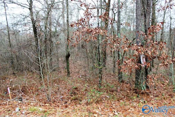 LOT 5 QUAIL DRIVE, CENTRE, AL 35960 - Image 1f68f6dc448b40dde916a5736fe0ab5f/1440915896