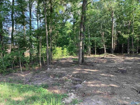Vacant Land For Sale - LOT 16 Jessica Drive<br/> Toney, AL 35773