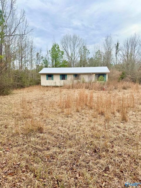 Photo of 137 Spruce Road, Butler, AL 36904 (MLS # 21908908)