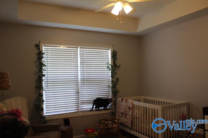 379 Creek Drive, Rainsville, Alabama image 16