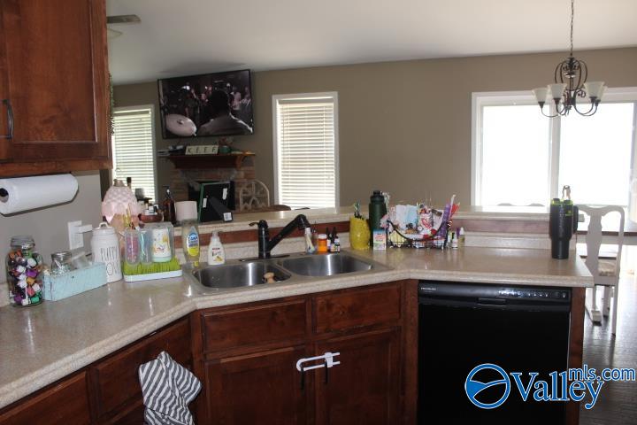 379 Creek Drive, Rainsville, Alabama image 14