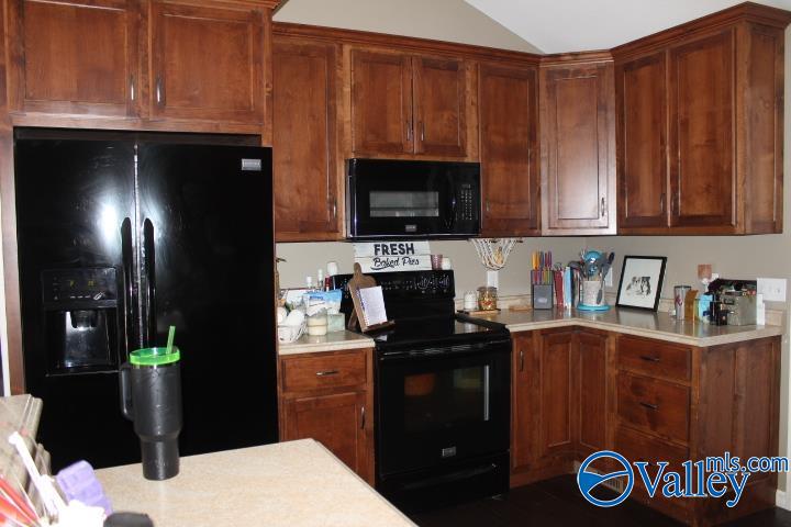379 Creek Drive, Rainsville, Alabama image 10
