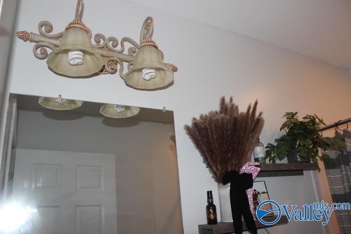 379 Creek Drive, Rainsville, Alabama image 19