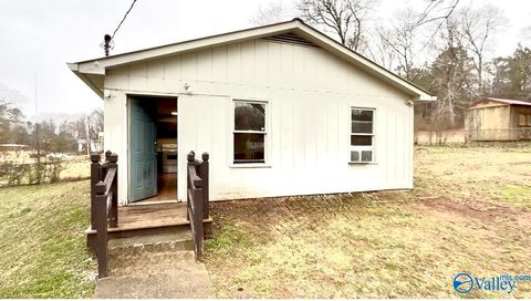 Photo of 265 T R Christian Road, New Hope, AL 35760 (MLS # 21908281)