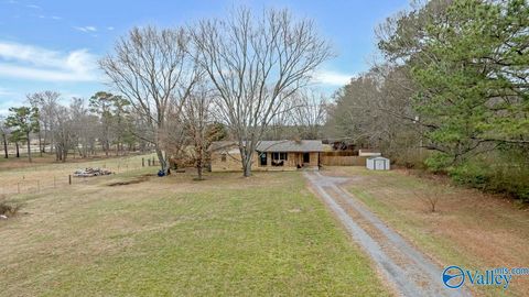 Homes For Sale - 1304 Hammonds Road<br/> Fyffe, AL 35971