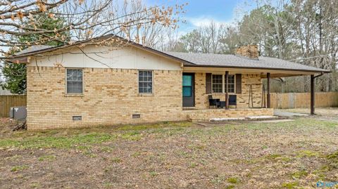 13404 Hammonds Road Fyffe AL 35971