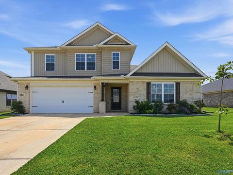 Homes For Sale - 132 Wilcot Road<br/> Madison County, Meridianville, AL 35759