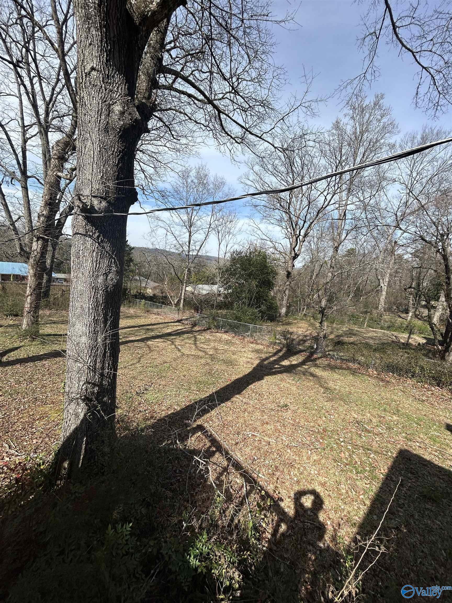 1308 Bellevue Drive, Gadsden, Alabama image 18