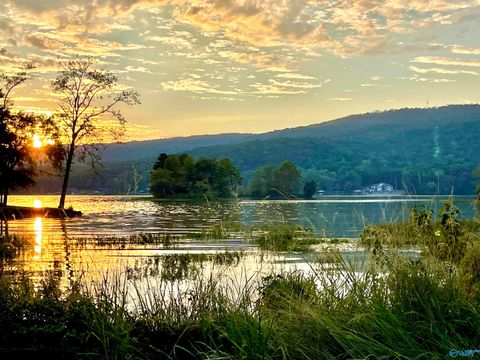 Vacant Land For Sale - 2842 Lake Forest Court<br/> Etowah County, Southside, AL 35907