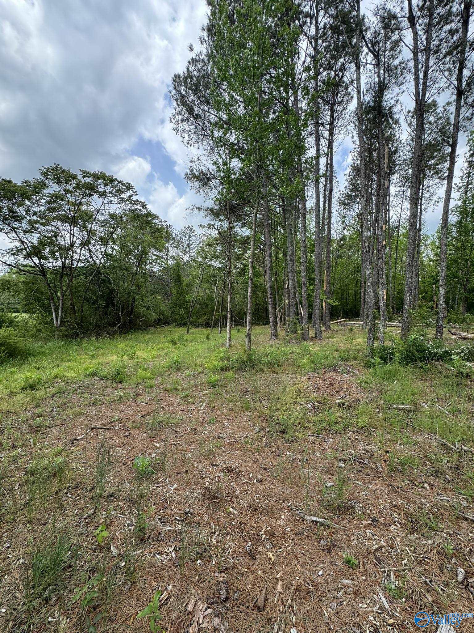 6.6 Acres Valder Johnson Road, Albertville, Alabama image 23