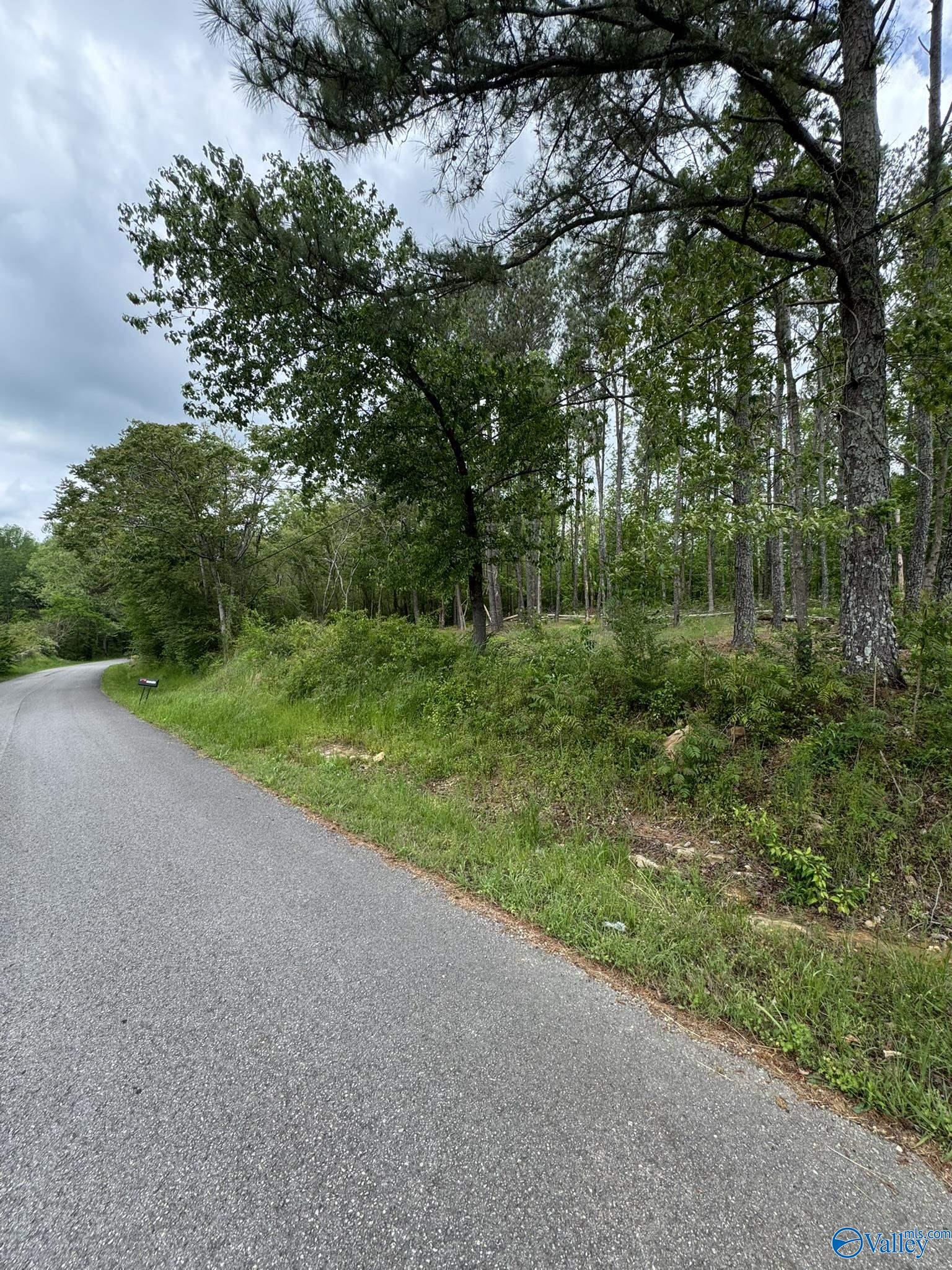 6.6 Acres Valder Johnson Road, Albertville, Alabama image 24