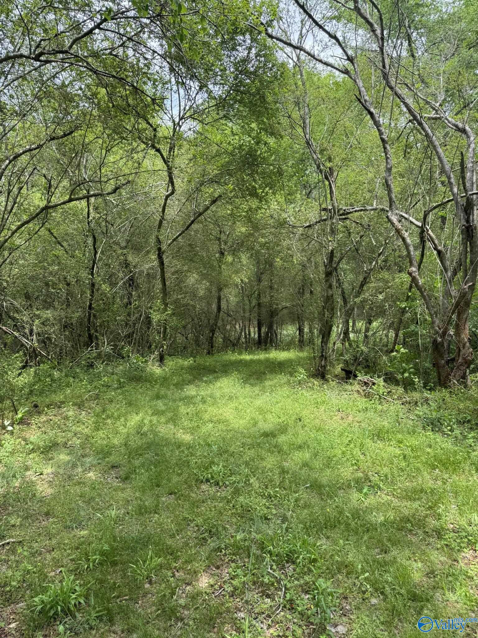 6.6 Acres Valder Johnson Road, Albertville, Alabama image 2