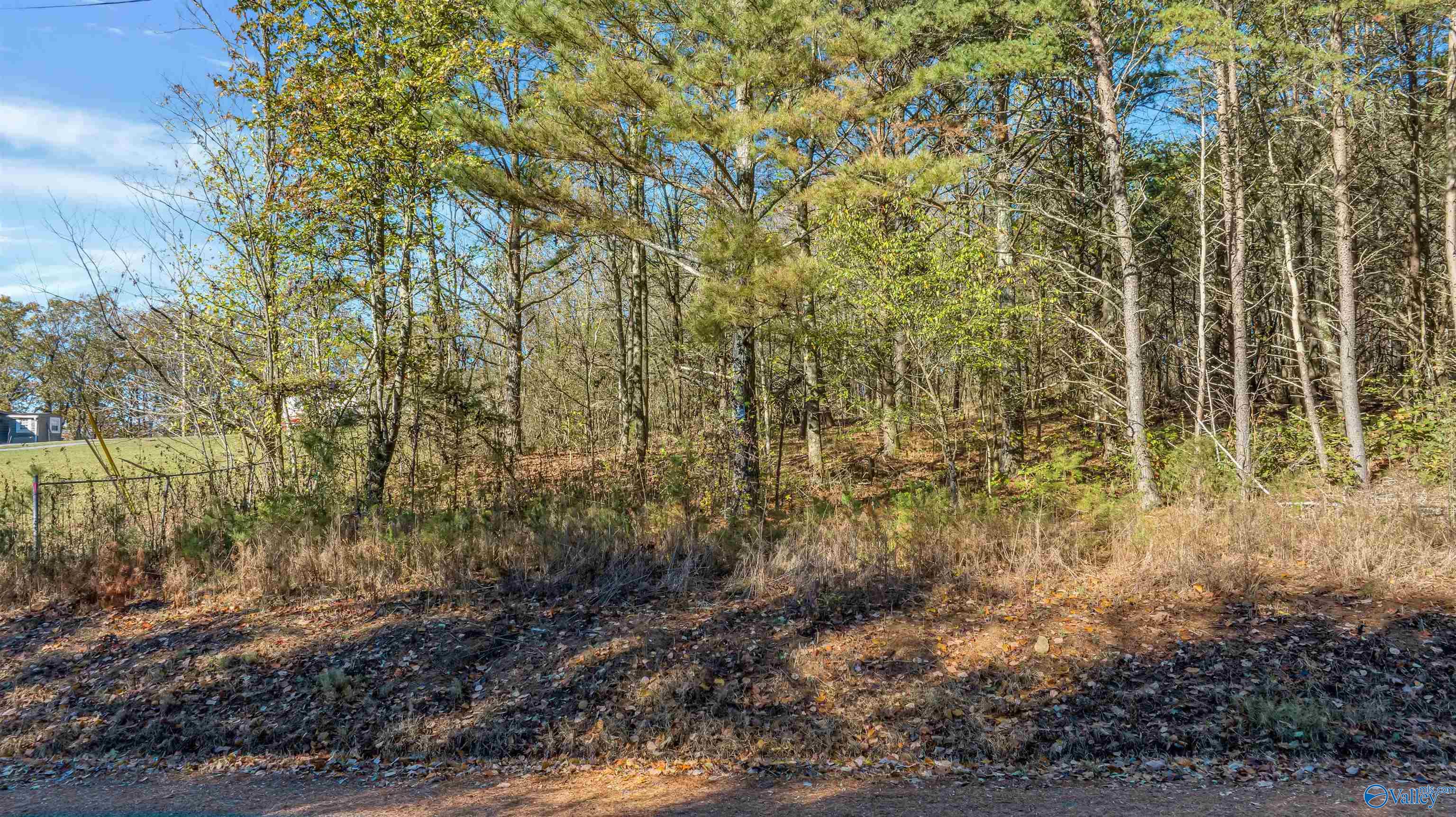 Tract 3 County Road 107, Fort Payne, Alabama image 16