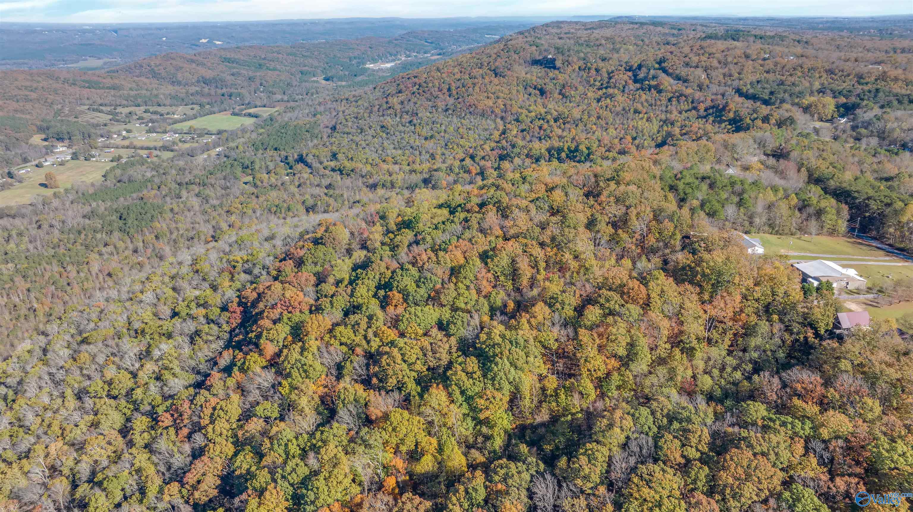 Tract 3 County Road 107, Fort Payne, Alabama image 8