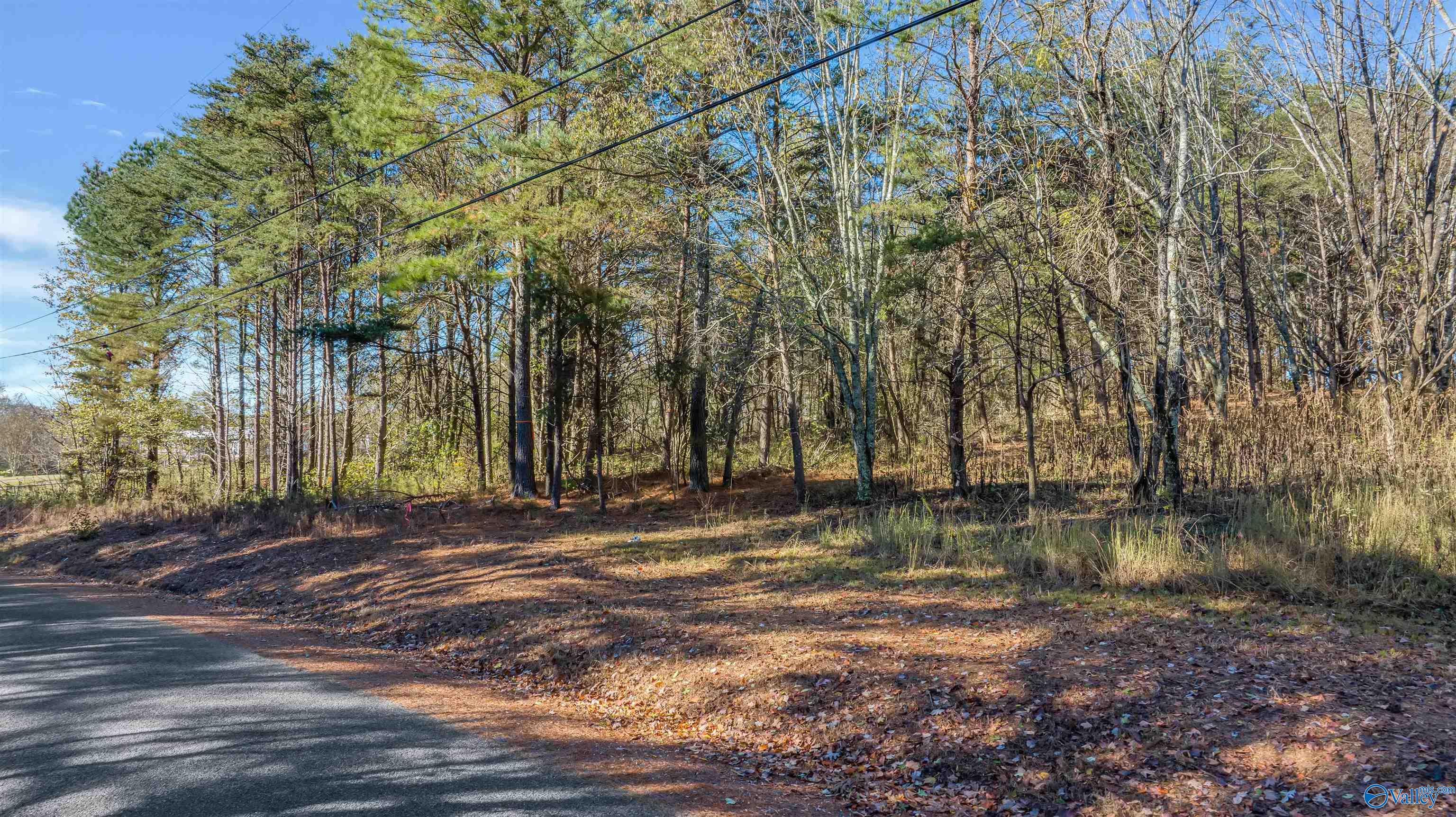 Tract 3 County Road 107, Fort Payne, Alabama image 18