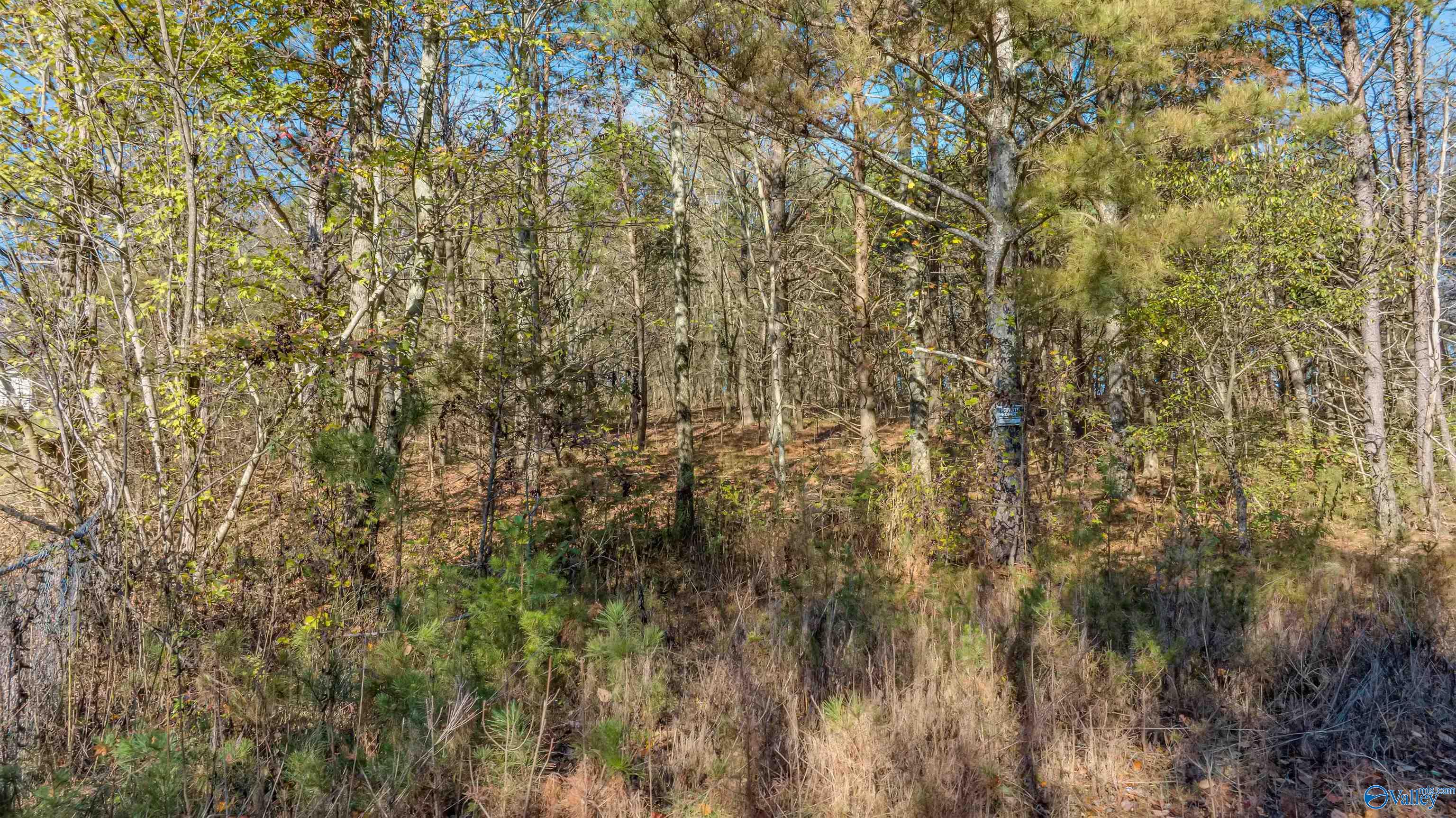 Tract 3 County Road 107, Fort Payne, Alabama image 14