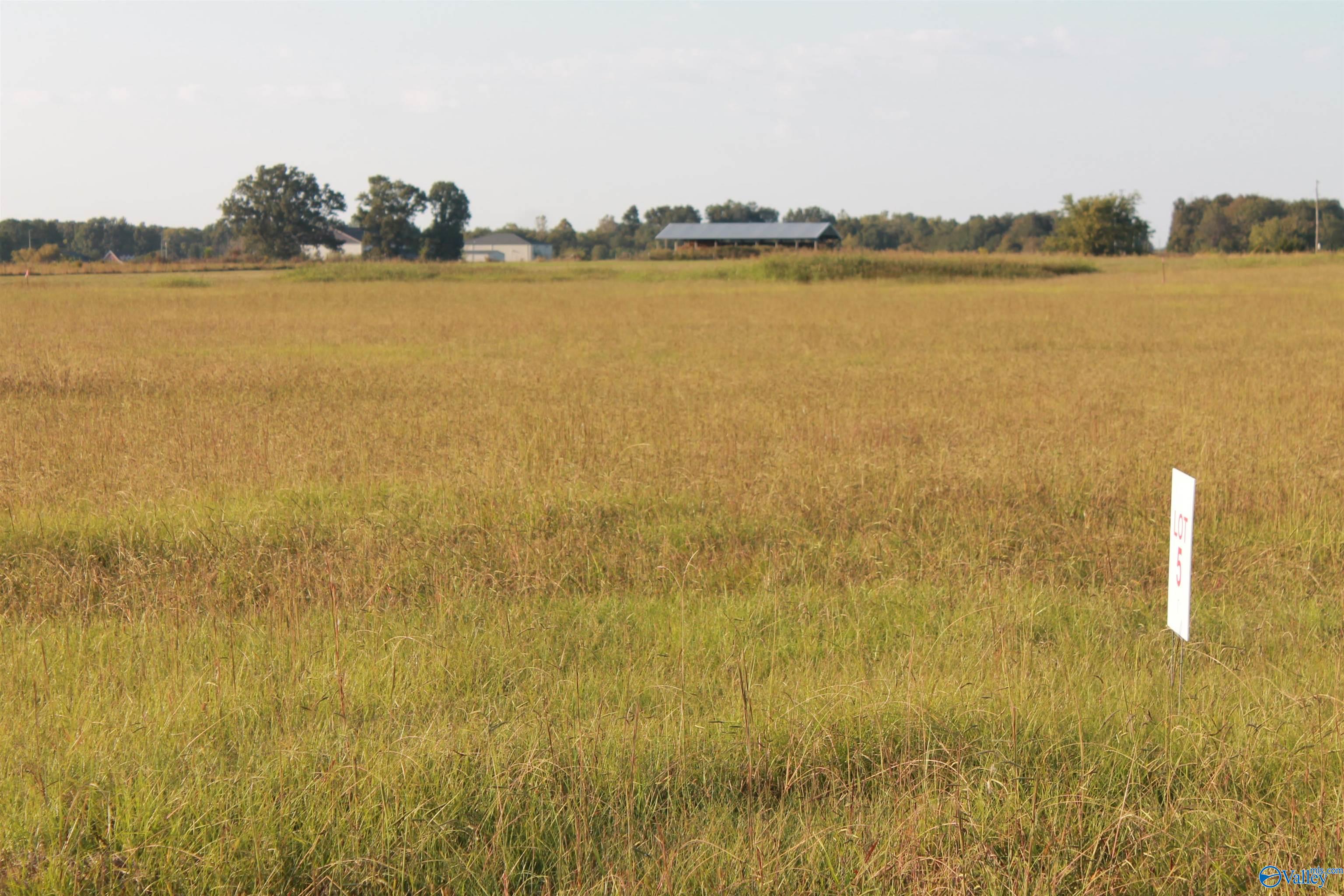 Tract 5 W Highway 55, Falkville, Alabama image 6