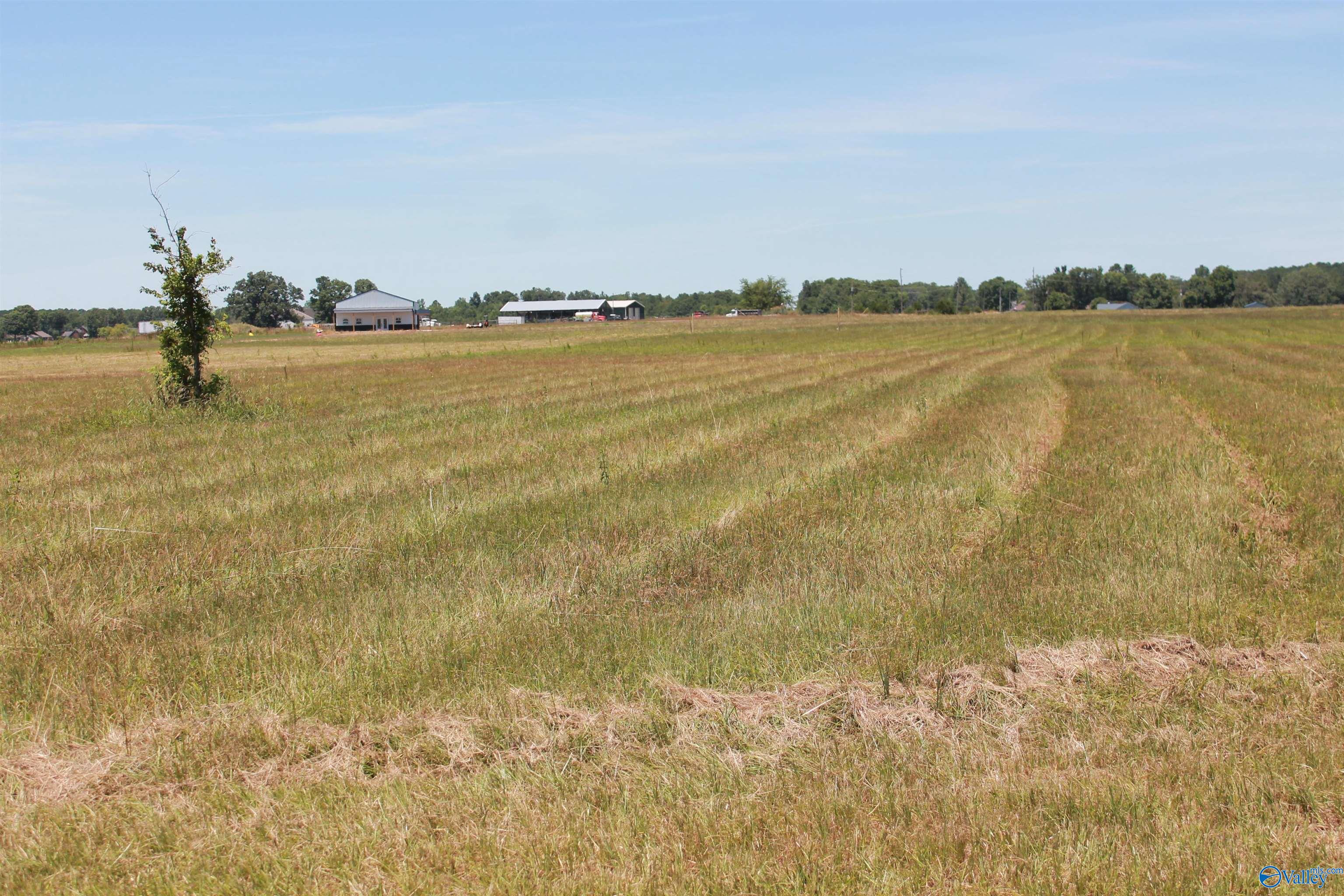 Tract 5 W Highway 55, Falkville, Alabama image 1