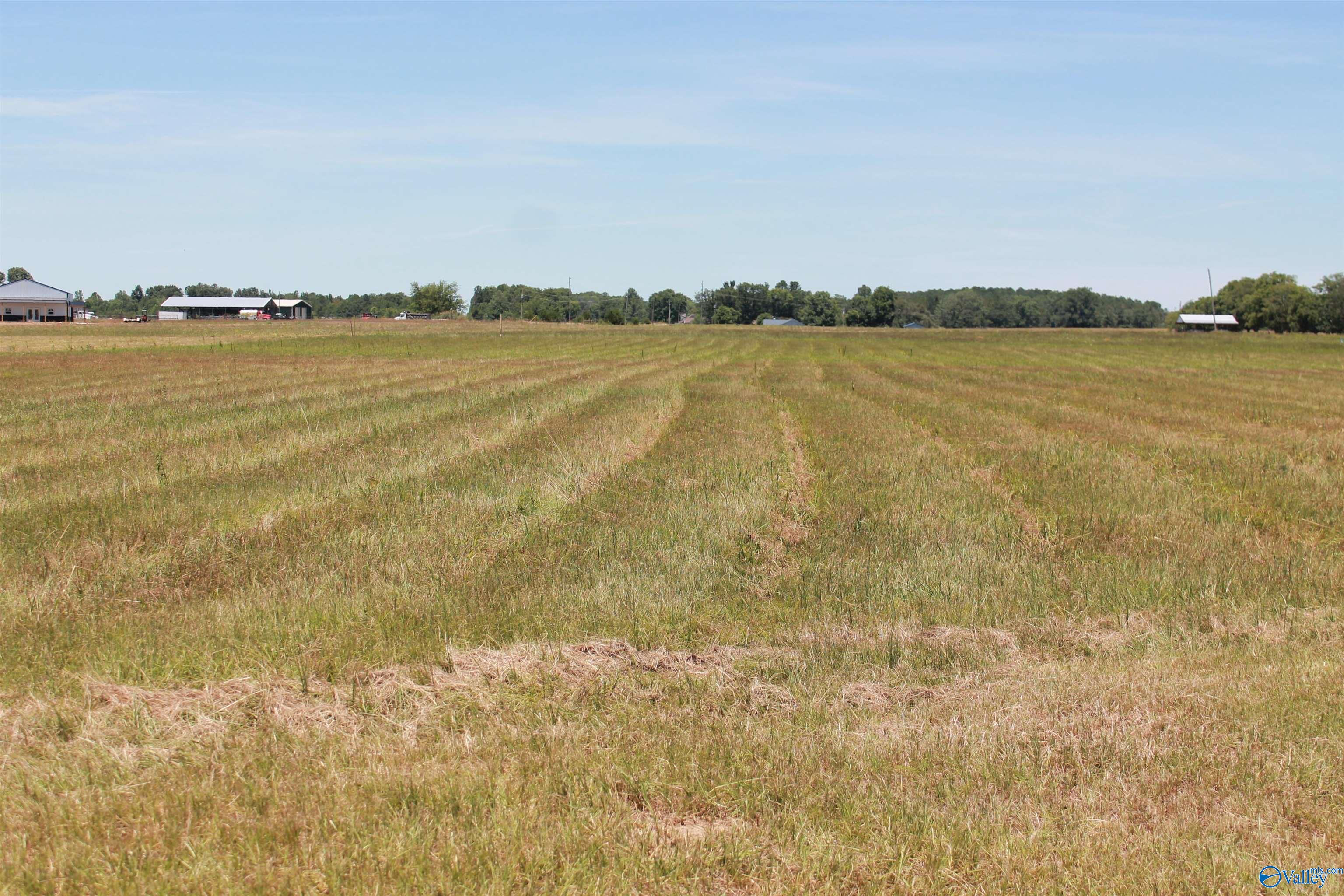 Tract 5 W Highway 55, Falkville, Alabama image 2