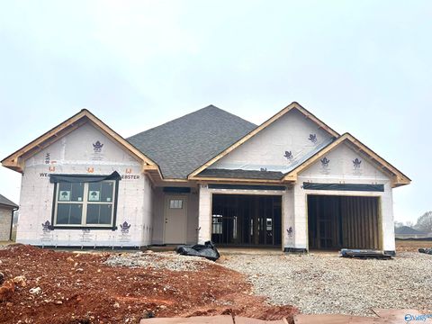 Photo of 133 Old Forest Road, Meridianville, AL 35759 (MLS # 21905292)