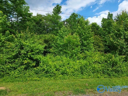 LOT DOLPHIN POINT DRIVE, LANGSTON, AL 35755 - Image 20c6079bc5e4dbb469d6da64ce4fd8c5/3152952311