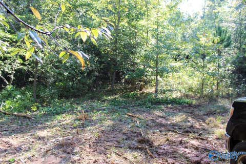 Homes For Sale - 12.19 Jerry Street<br/> Fort Payne, AL 35967
