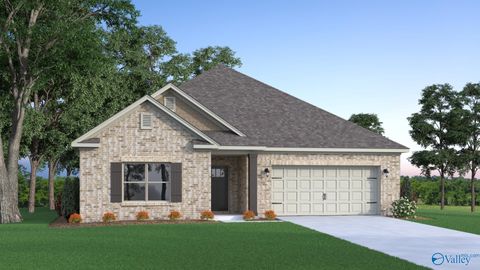 274 Saddle Street New Market AL 35761
