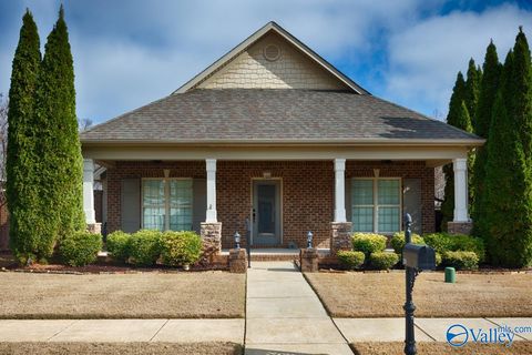 235 Grove Village Way Madison AL 35758