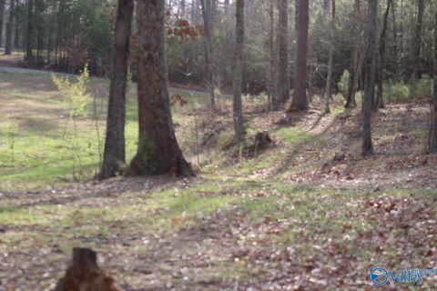 Vacant Land For Sale - 1805 County Road 103 #LOT 43<br/> Cherokee County, Mentone, AL 35984