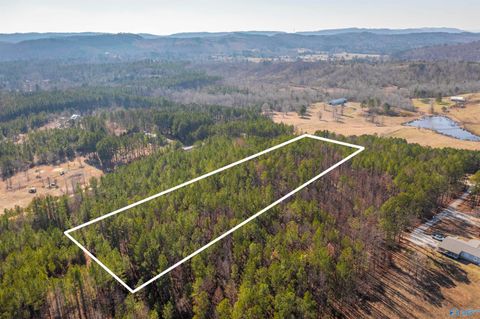 Vacant Land For Sale - 3.54 Tom Cat Road<br/> Etowah County, Gadsden, AL 35903