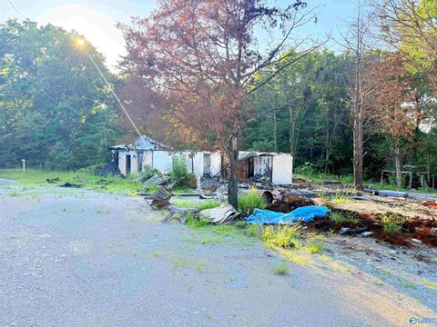 Vacant Land For Sale - 9612 Highway 36<br/> Somerville, AL 35670